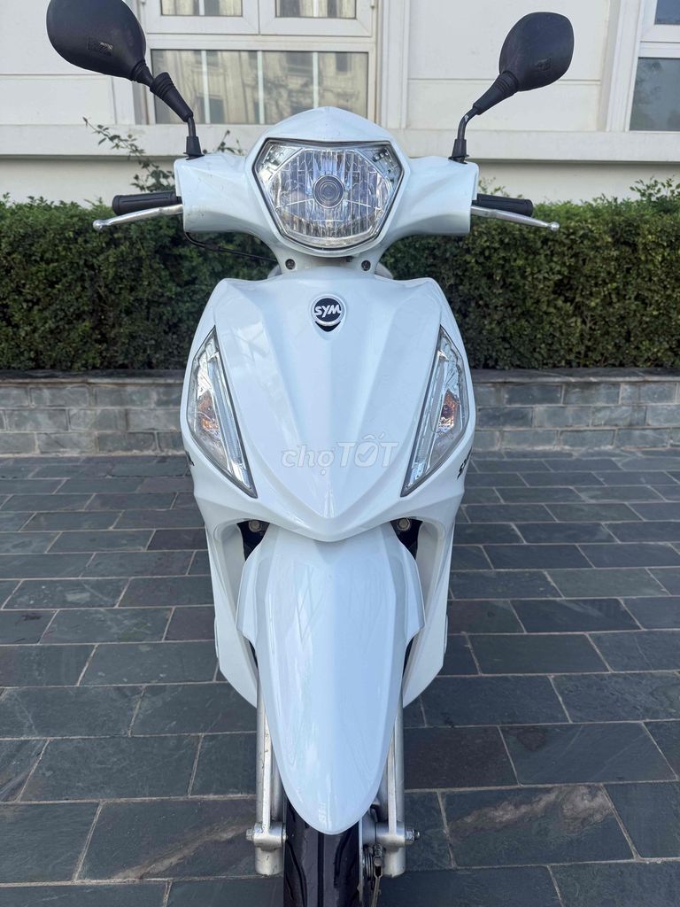 SYM Shark 50 куб. см 2023 Белая