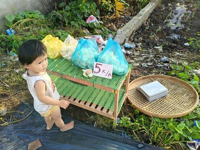 Bông Su đũa 5k1b 200g. Mua bán Đồ ăn, thực phẩm và các loại khác tại Huyện Châu Thành Sóc Trăng được đăng bởi NHAKINHDOANH