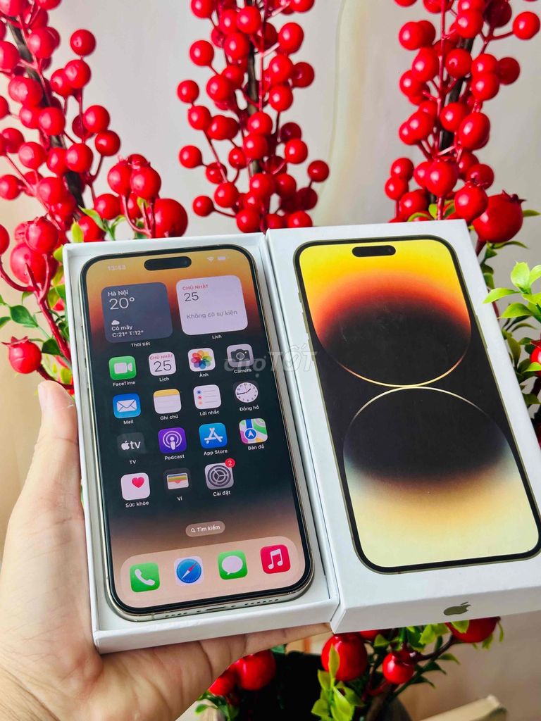 iphone 14prm 128g vàng gold. Mua bán Điện thoại tại Thành phố Sóc Trăng Sóc Trăng được đăng bởi Tàii Tâyy hình 1