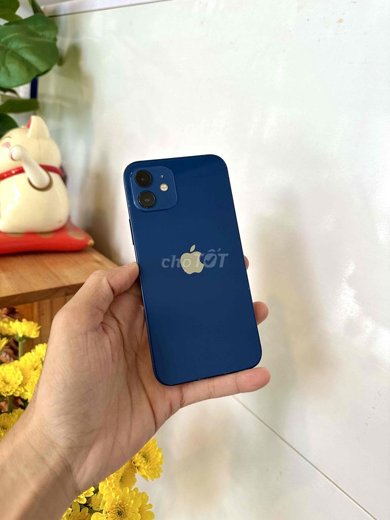 Apple iPhone 12 64GB Xanh dương. Mua bán Điện thoại tại Thành phố Long Xuyên An Giang được đăng bởi phong LX  hình 1