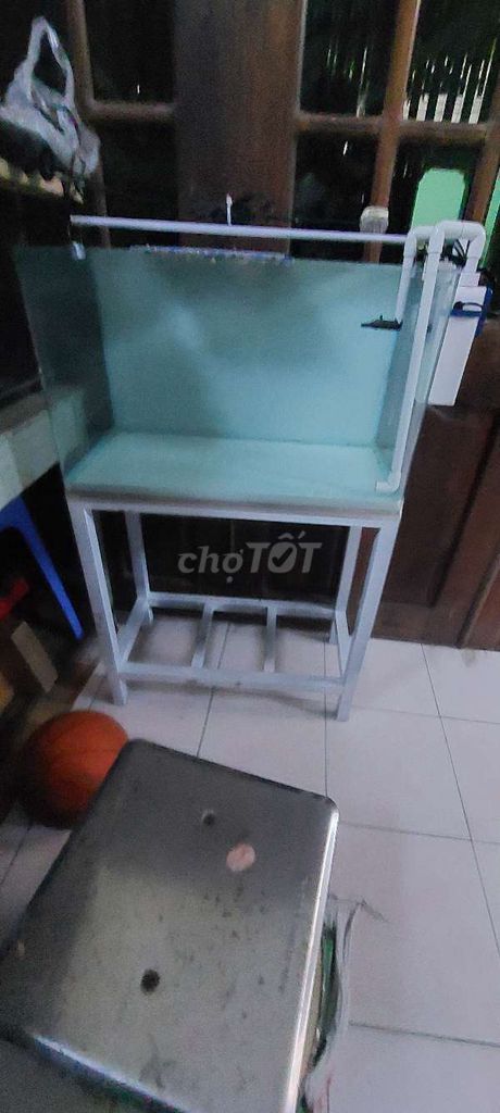 Hồ cá Kính cong 600x350x300. Mua bán Phụ kiện, Thức ăn, Dịch vụ tại Thành phố Vũng Tàu Bà Rịa - Vũng Tàu được đăng bởi Aloha hình 1