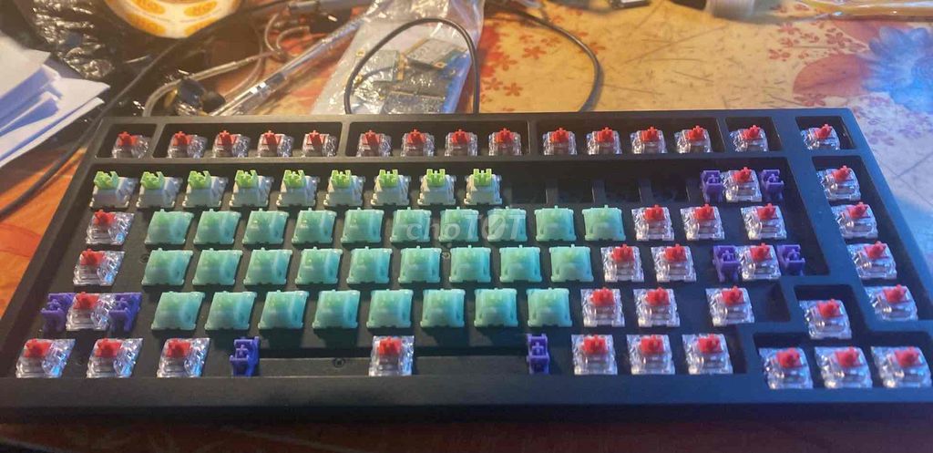 Switch bàn phím Red switch dodo lube Đỏ 40 cái. Mua bán Phụ kiện (Màn hình, Chuột...) tại Thành phố Hải Dương Hải Dương được đăng bởi Hải Đức hình 1