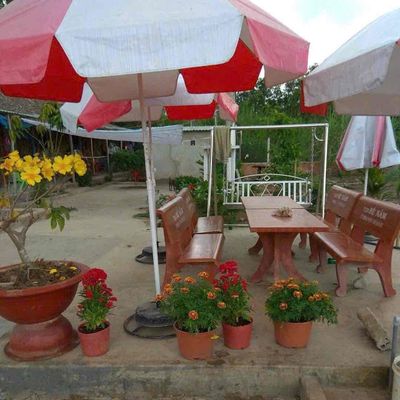 bán đất bình chánh 2000m2 kênh 5. sau trường tiểu học bình lợi
