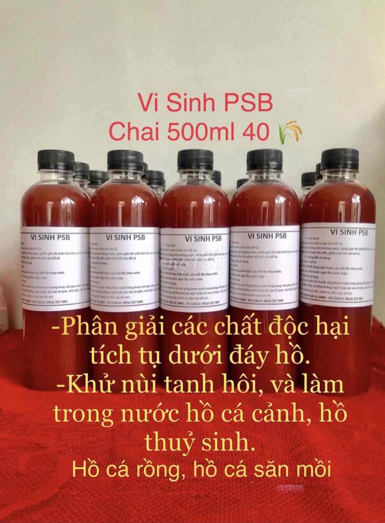 khử mùi tanh hôi nước hồ , làm trong nước