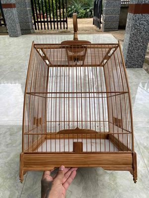Lồng mào thái cao và thái đấu. Mua bán Chim tại Huyện Trảng Bom Đồng Nai được đăng bởi BPham