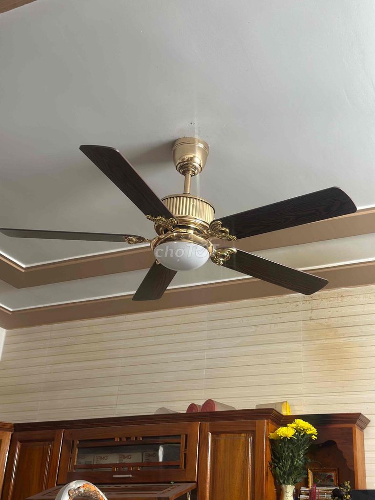 Quạt trần có đèn DC 5 cánh Vàng. Mua bán Quạt tại Quận Liên Chiểu Đà Nẵng được đăng bởi Thiết bị vệ sinh Đà Nẵng hình 1