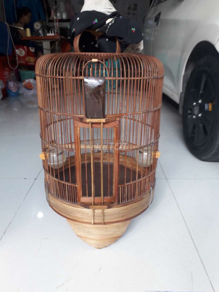 chim hết còn lồng. kiến my. than. Mua bán Chim tại Quận 12 Tp Hồ Chí Minh được đăng bởi hoa my khiếu hình 1
