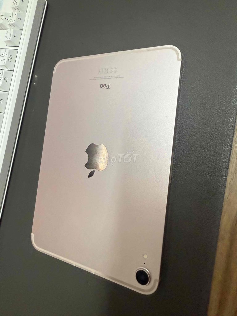 Apple iPad Mini 6 256GB Vàng hồng. Mua bán Máy tính bảng tại Quận Hải Châu Đà Nẵng được đăng bởi Nguyễn Tam Hoàng hình 1