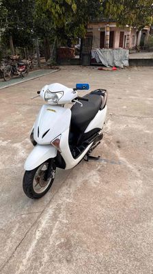 Honda Lead Trắng