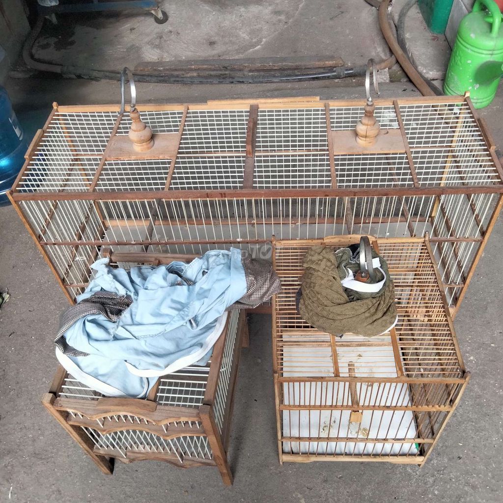 Combo lồng lực , ép , tắm. Mua bán Phụ kiện, Thức ăn, Dịch vụ tại Huyện Trảng Bom Đồng Nai được đăng bởi Bao hình 1