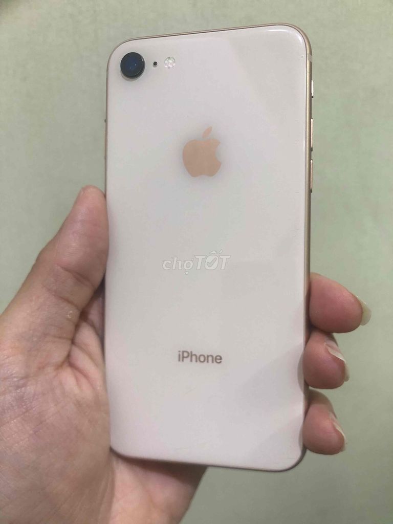 iPhone 8 64GB Vàng Đã thay màn hình. Mua bán Điện thoại tại Quận Đống Đa Hà Nội được đăng bởi Shop điện thoại cũ ISV hình 1
