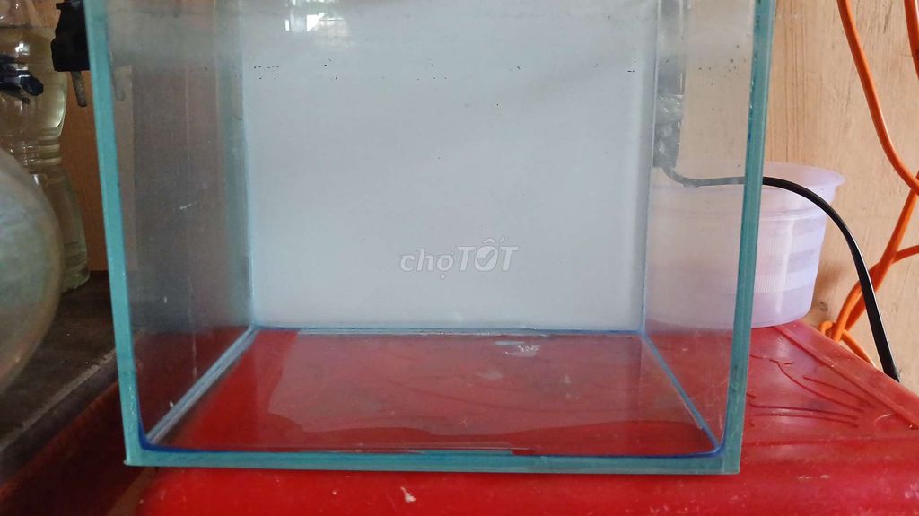 Bể cá kính 18x12x15 cm. Mua bán Phụ kiện, Thức ăn, Dịch vụ tại Huyện Hớn Quản Bình Phước được đăng bởi Lê Thái Duy hình 1