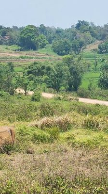 BÁN ĐẤT TẠI Đường Hồ Xuân Hương,Thị trấn Ea Kar, Ea Kar, Đắk Lắk. Mua bán đất tại Huyện Ea Kar Đắk Lắk được đăng bởi CHÍNH CHỦ