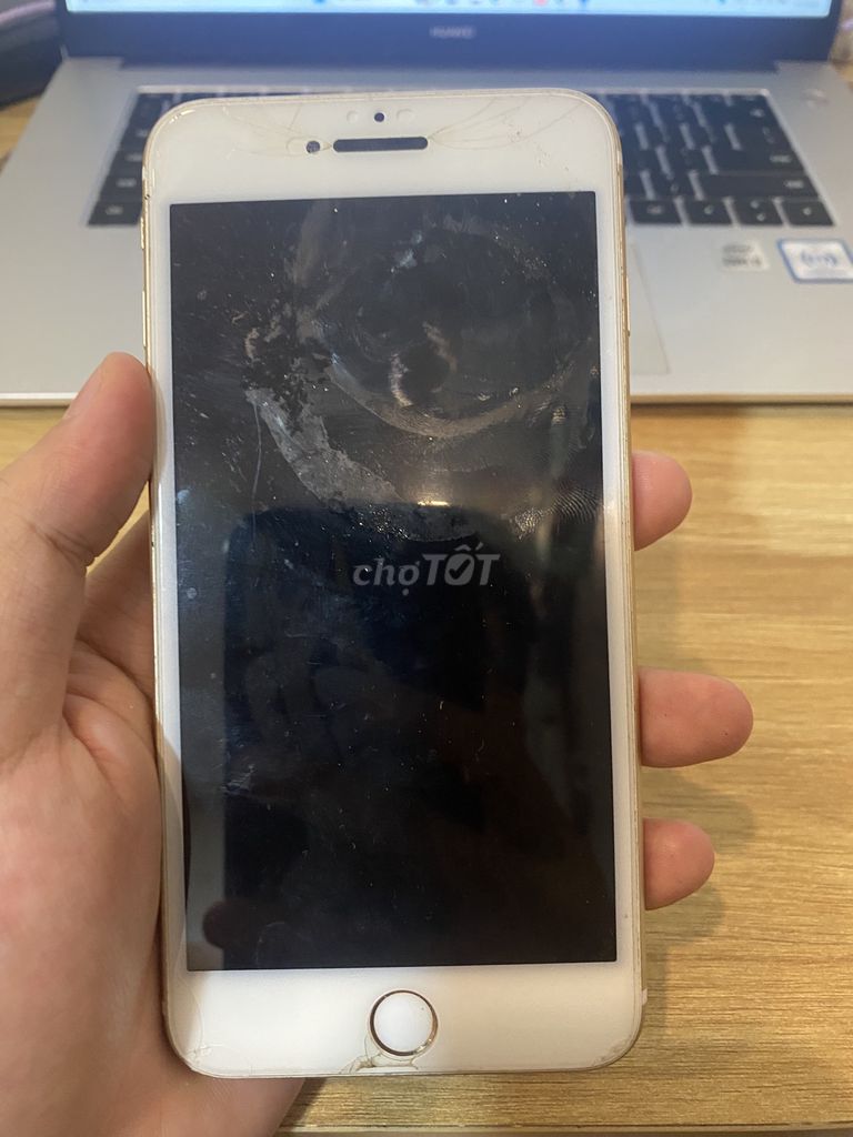 Apple iPhone 6S 16GB Vàng. Mua bán Điện thoại tại Quận Tân Bình Tp Hồ Chí Minh được đăng bởi hoàng hình 1