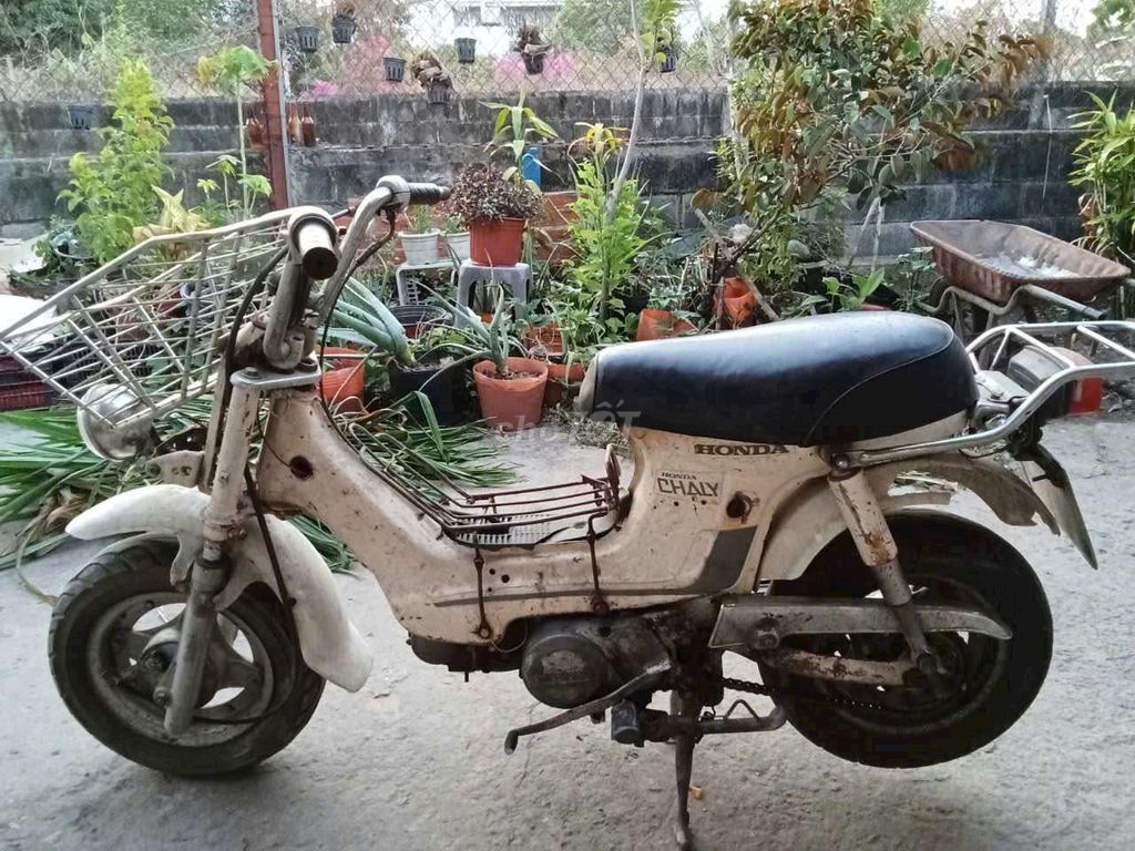 Honda Chaly Nhật 50cc Học Sinh Đi Học Ko Bằng Lái. Mua bán Xe máy tại Huyện Hóc Môn Tp Hồ Chí Minh được đăng bởi Tuân Nguyên hình 3