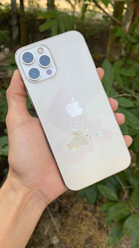 iPhone 12ProMax 256gb Gold Quốc Tế có giao lưu. Mua bán Điện thoại tại Huyện Kế Sách Sóc Trăng được đăng bởi CN hình 1