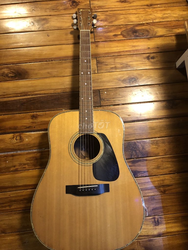 GUITAR ACOUSTIC MORRIS MD-515