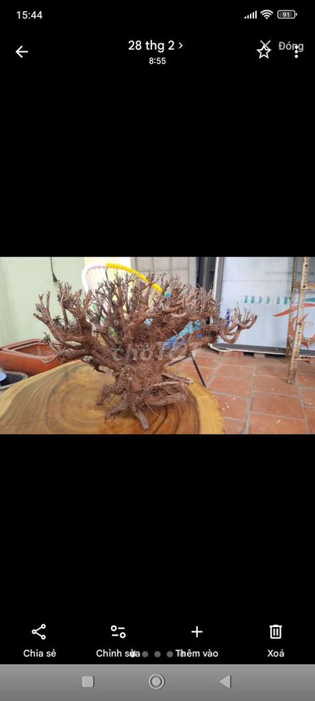 Lũa gắn đá trang trí bể cá 4 khúc. Mua bán Phụ kiện, Thức ăn, Dịch vụ tại Quận Hà Đông Hà Nội được đăng bởi Duy xd hình 1