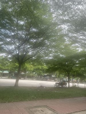 Gấp Gấp!!! đất Bình Lợi view công viên. DT 5x20m. Hẻm Thông 12m