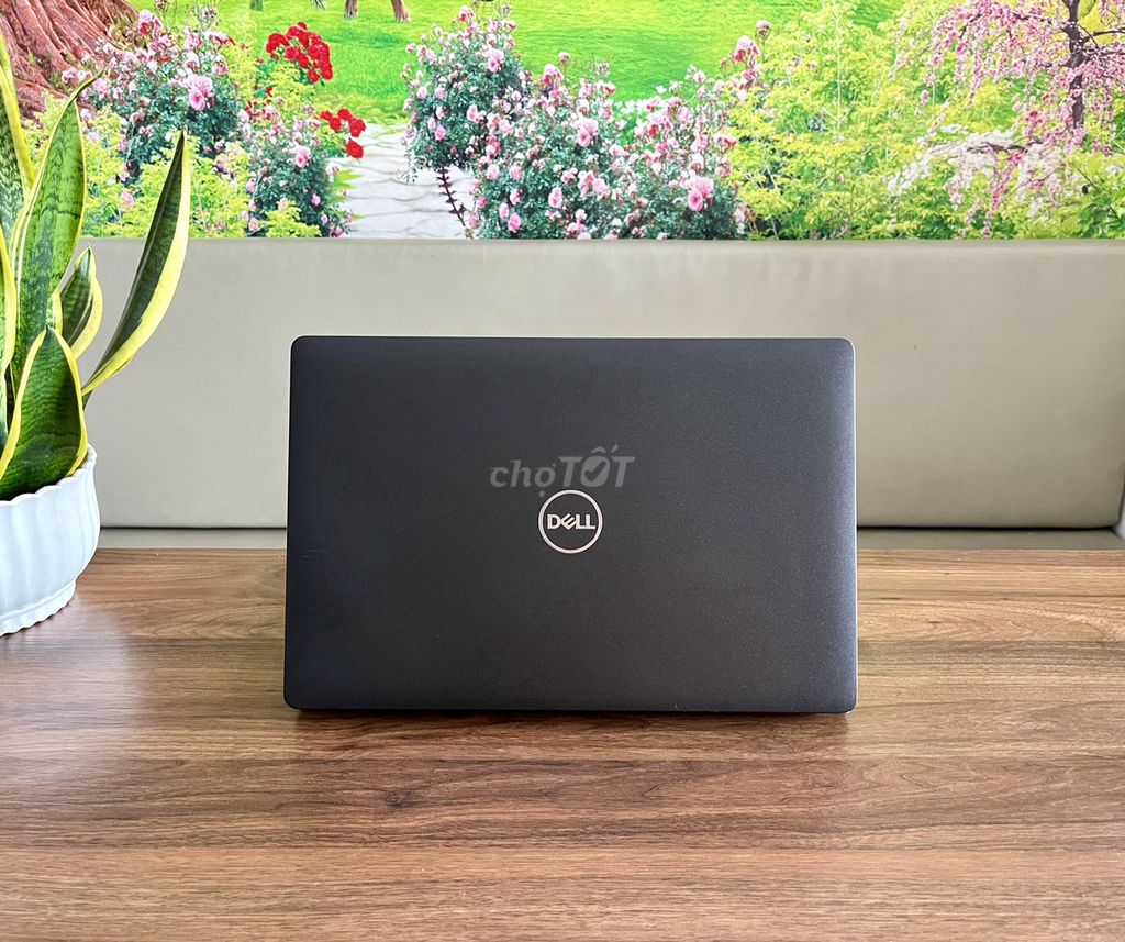 DELL LATITUDE 5500 VĂN PHÒNG - HỌC TẬP, HÀNG USA