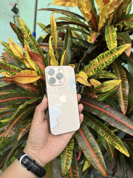 Apple iPhone 16 Pro 128GB Sa mạc VN/A. Mua bán Điện thoại tại Quận 1 Tp Hồ Chí Minh được đăng bởi Hội Đồ Điện Tử hình 1