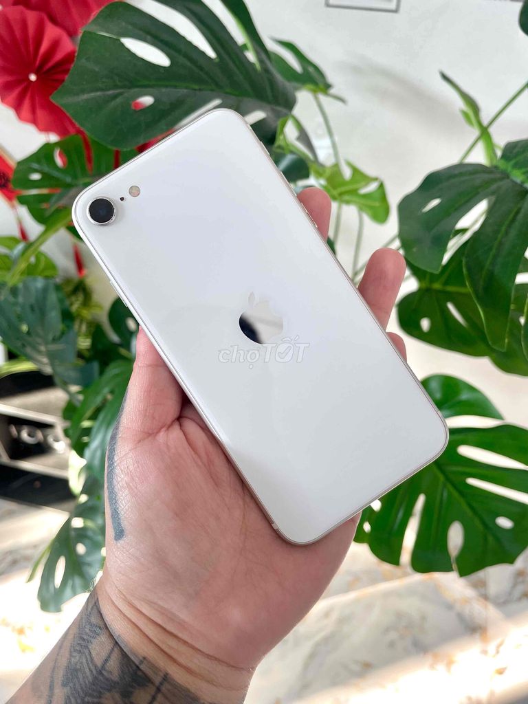 Apple iPhone SE 2020 64GB Trắng. Mua bán Điện thoại tại Huyện Long Điền Bà Rịa - Vũng Tàu được đăng bởi Sting  hình 1