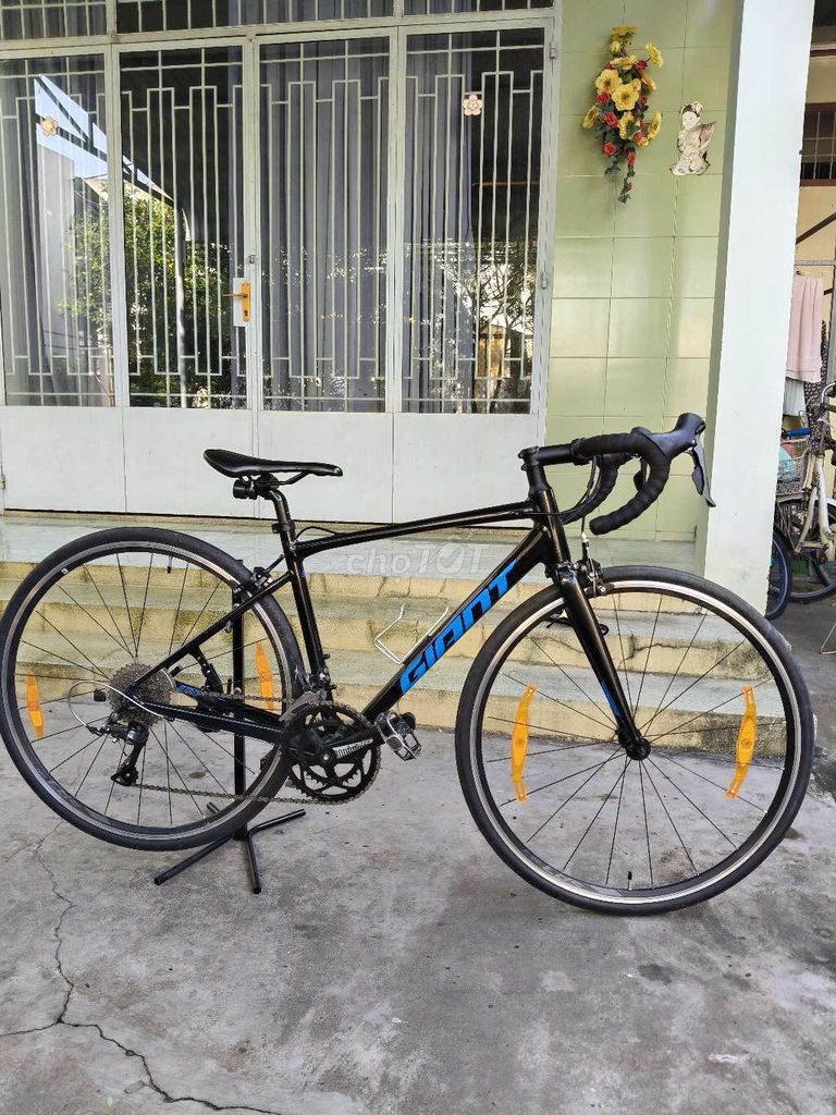 Xe đạp đua Giant Conten. Mua bán Xe đạp tại Quận Ninh Kiều Cần Thơ được đăng bởi nguyen thong hình 1