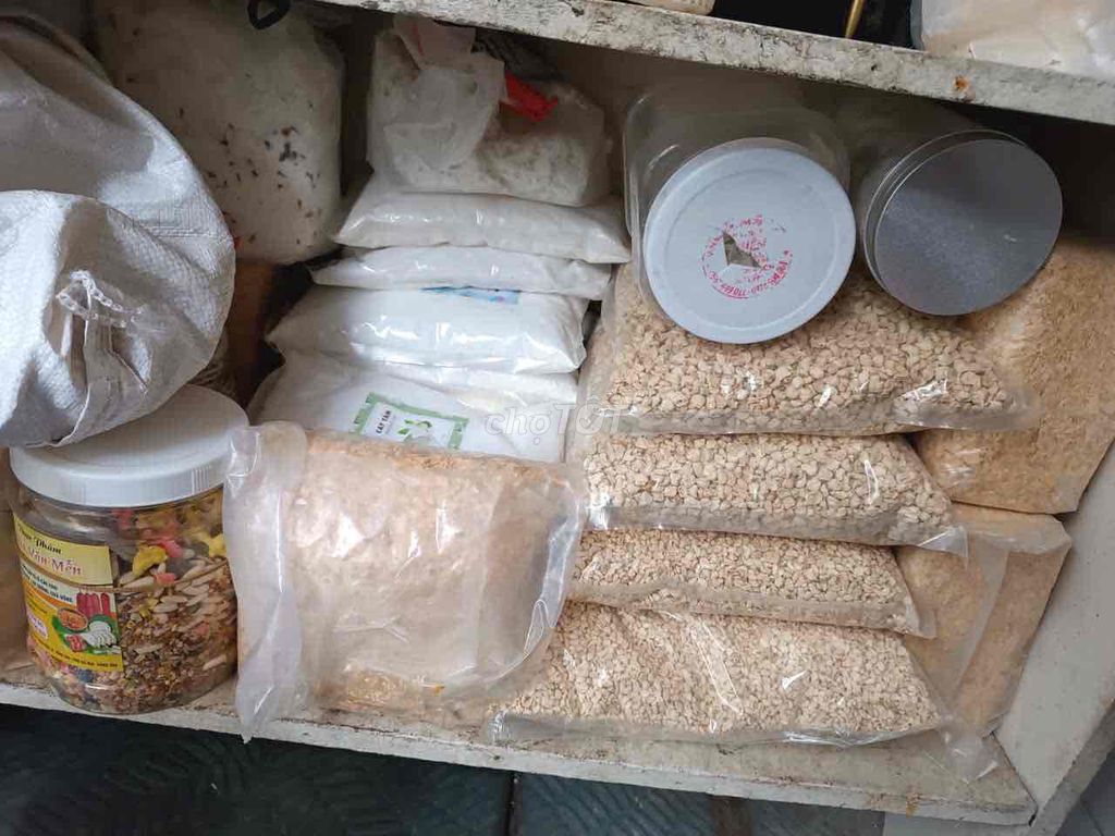 Bán các loại đồ dùng cho hamsters. Mua bán Phụ kiện, Thức ăn, Dịch vụ tại Quận Gò Vấp Tp Hồ Chí Minh được đăng bởi Haruko hình 1