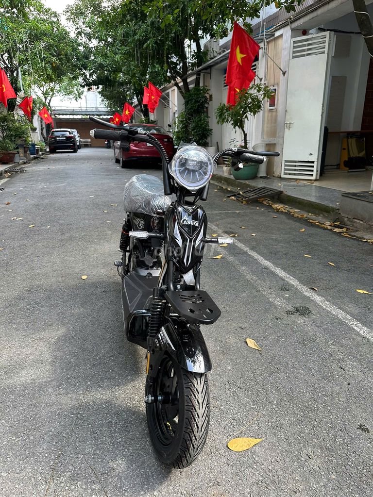 Xe đạp điện Asuka 133 Pro. Mua bán Xe điện tại Huyện Long Thành Đồng Nai được đăng bởi Đồng Đức hình 1