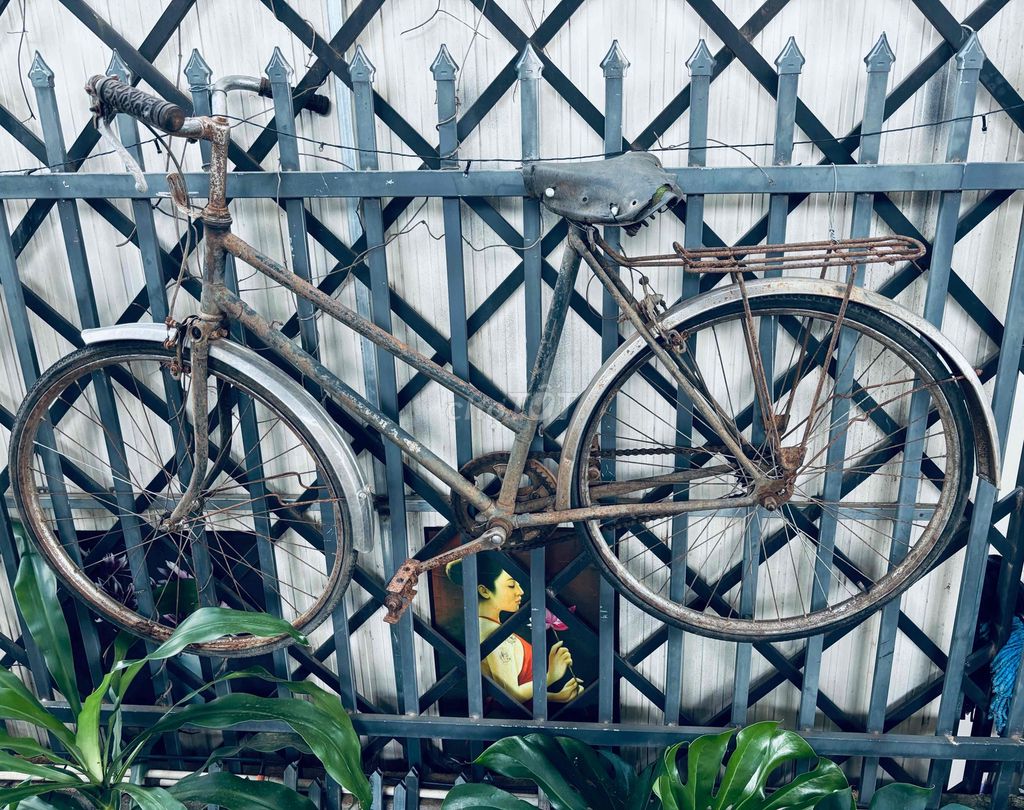 Xe đạp Phượng Hoàng Cổ điển Kim loại. Mua bán Xe đạp tại Thành phố Buôn Ma Thuột Đắk Lắk được đăng bởi Hoan2h hình 2