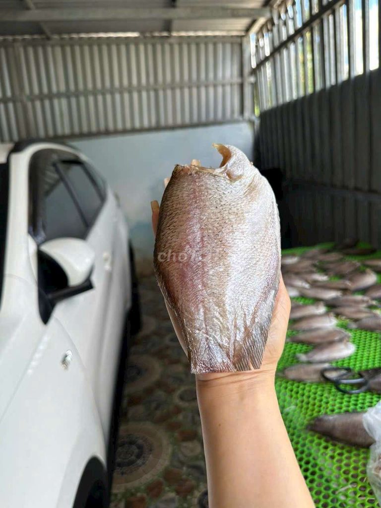 Khô cá sặc bổi 2 nắng. Mua bán Đồ ăn, thực phẩm và các loại khác tại Quận Ninh Kiều Cần Thơ được đăng bởi TRẦN HỒNG CÚC  hình 1