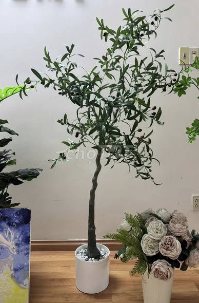 Cây giả decor nhựa xanh lá. Mua bán Cây cảnh, đồ trang trí tại Quận Bình Thạnh Tp Hồ Chí Minh được đăng bởi Hội Đồ Điện Tử hình 1