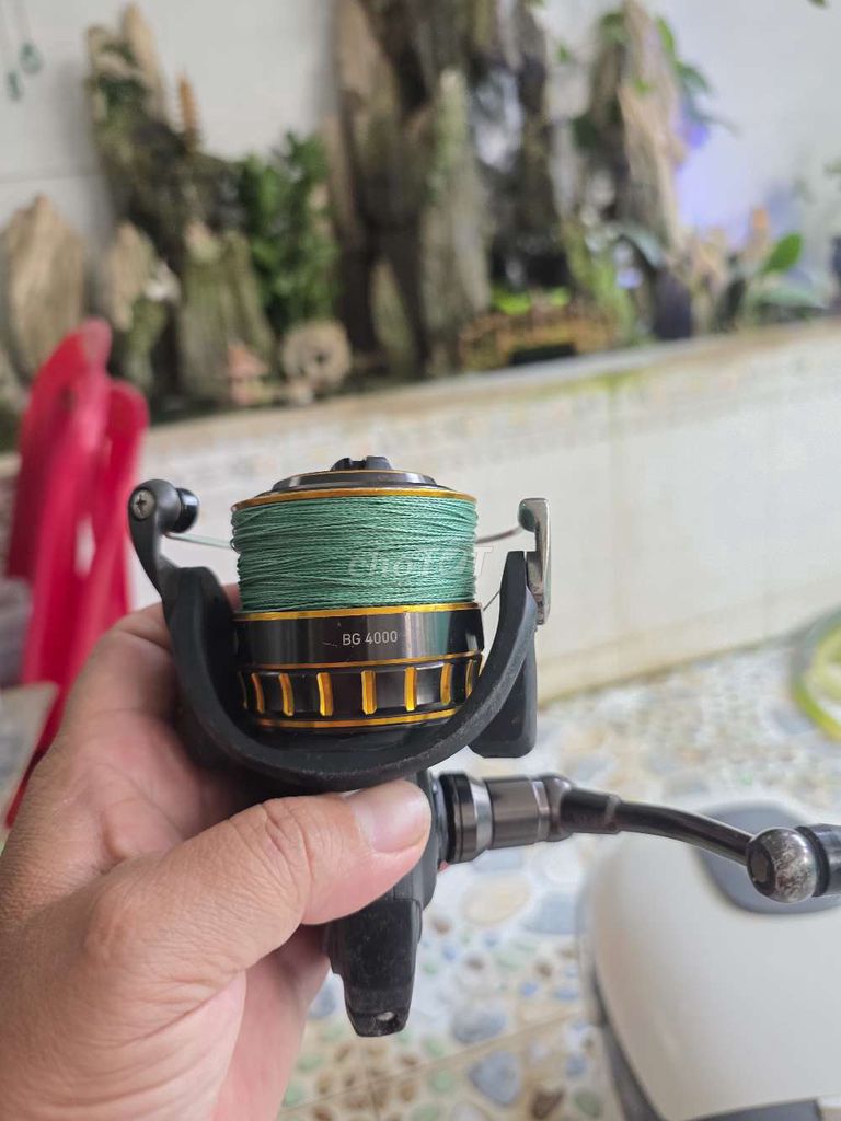 Máy câu Daiwa BG4000 