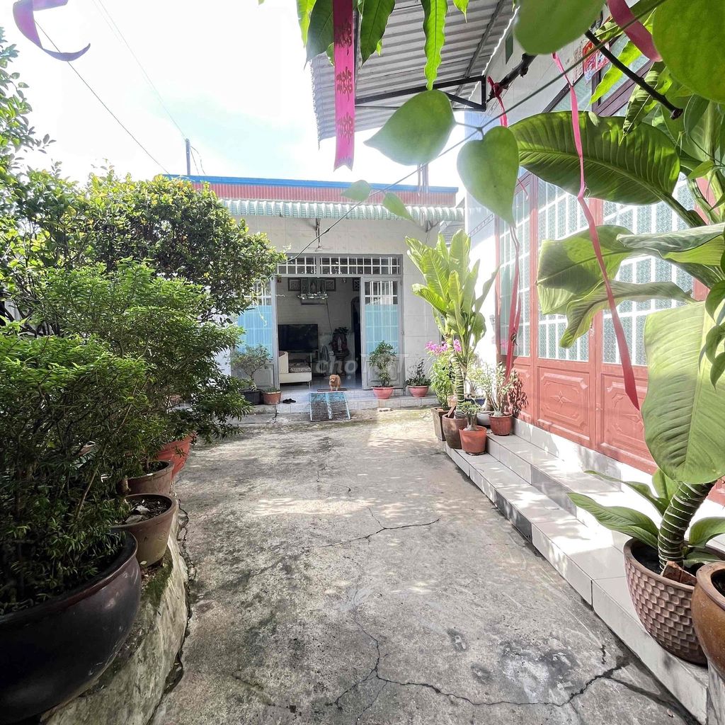 🏡Bán Nhà Gần Trường Võ Minh Đức Chánh Nghĩa Thủ Dầu Một Bình Dương