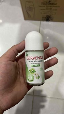 Lăn khử mùi Gẻvenne(48 chai)