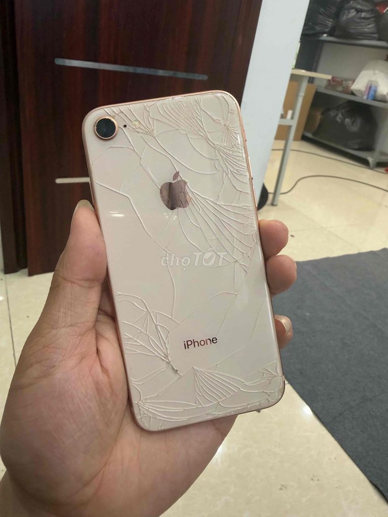 Apple iPhone 8 64GB Vàng hồng Vỡ lưng màn. Mua bán Điện thoại tại Quận Đống Đa Hà Nội được đăng bởi Ng Hoang Anh hình 1
