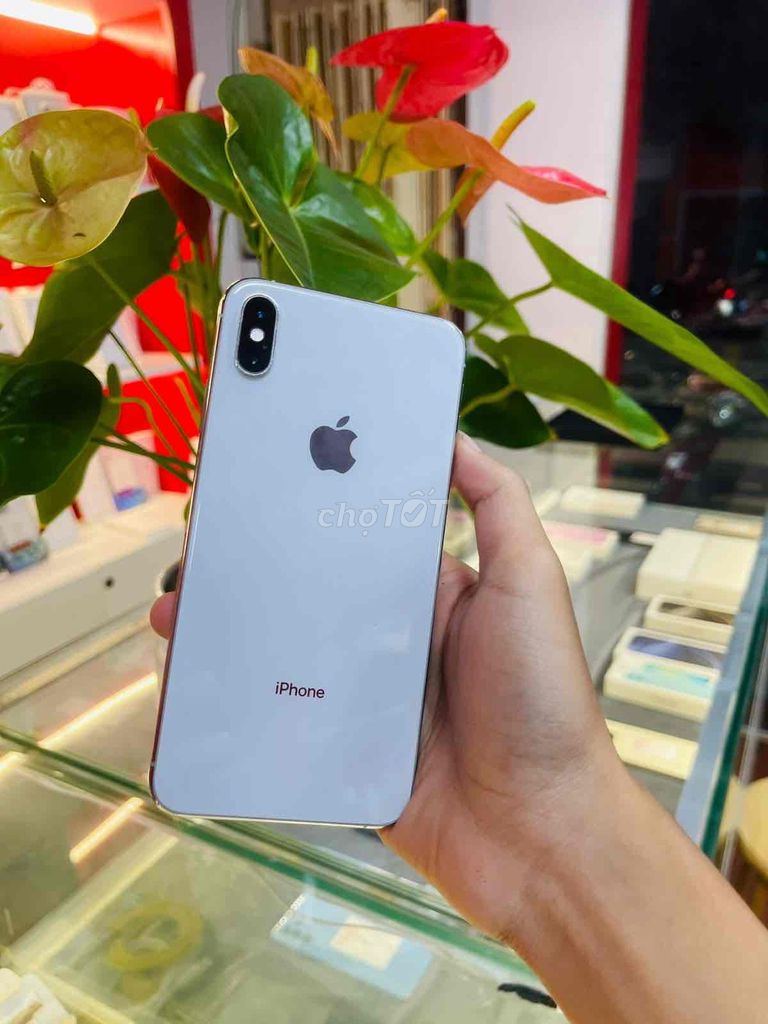 Apple iPhone Xs Max 256GB Quốc tế. Mua bán Điện thoại tại Thành phố Biên Hòa Đồng Nai được đăng bởi Thang Tran hình 1