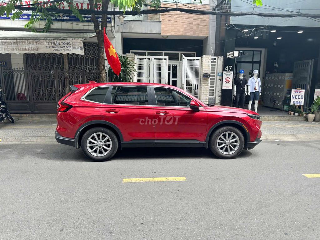 Ảnh số 6