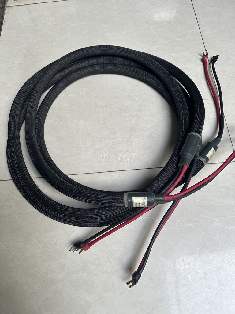Dây Loa PURIST AUDIO Revision C (USA). Mua bán Tivi, Âm thanh tại Thành phố Thuận An Bình Dương được đăng bởi Tuan Anh hình 3
