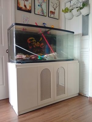 Hồ cá kèm chân inox đã bọc gỗ. Mua bán Phụ kiện, Thức ăn, Dịch vụ tại Thành phố Thủ Đức Tp Hồ Chí Minh được đăng bởi Lưu Trường Hải Lân