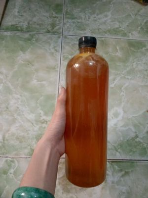 Mật ong rừng nguyên chất Đăk Lăk. Mua bán Đồ ăn, thực phẩm và các loại khác tại Huyện Hóc Môn Tp Hồ Chí Minh được đăng bởi bé út 