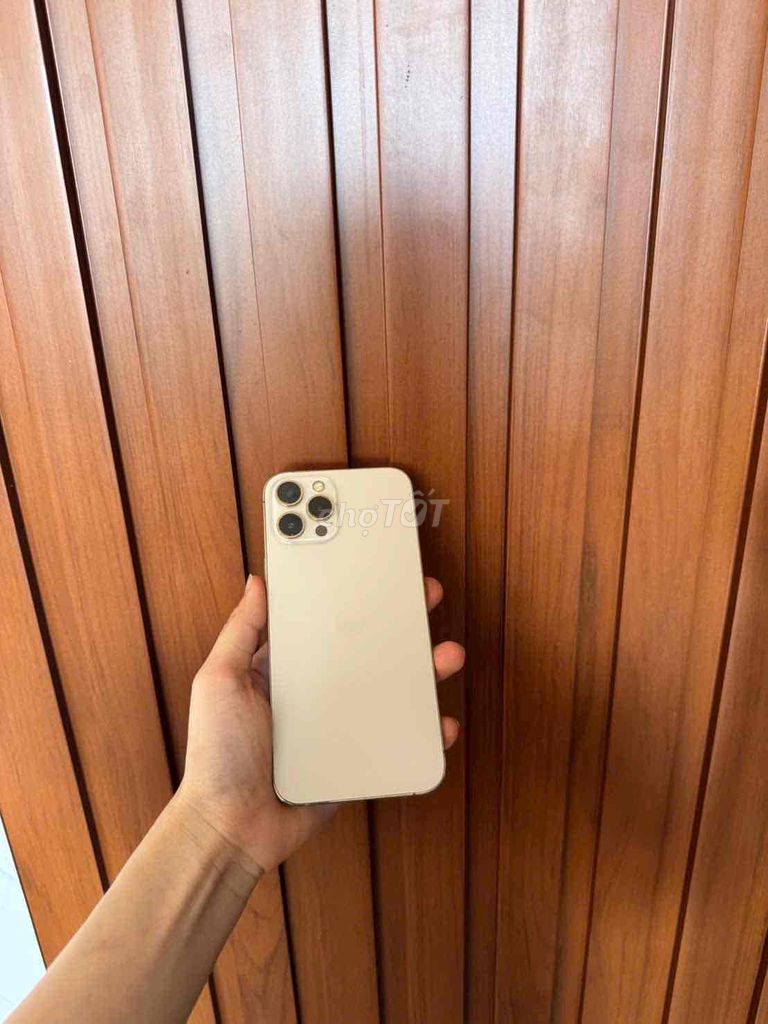 iphone 12prm 256G gold- màn hình có 1 chấm đen. Mua bán Điện thoại tại Thành phố Buôn Ma Thuột Đắk Lắk được đăng bởi phuong smarphone hình 1