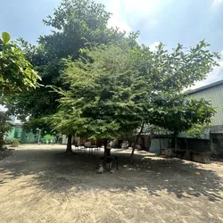 Cho thuê đất trống 1000m2 tại Tân Phú