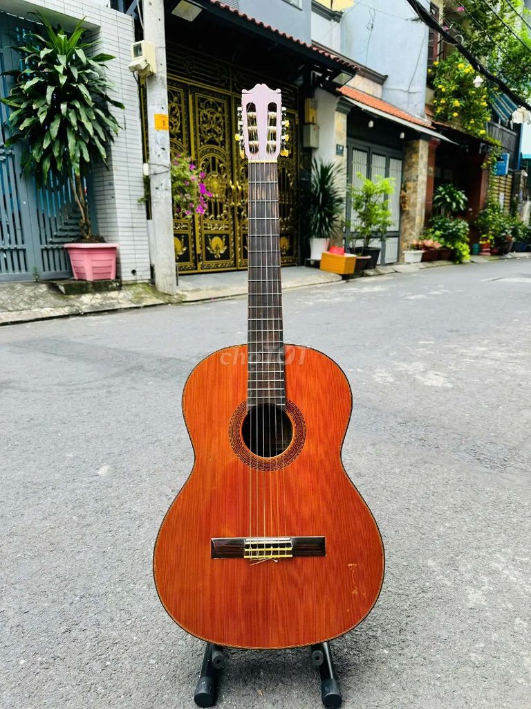 Guitar classic Ryoji Matsuoka nội địa Nhật Bản zin