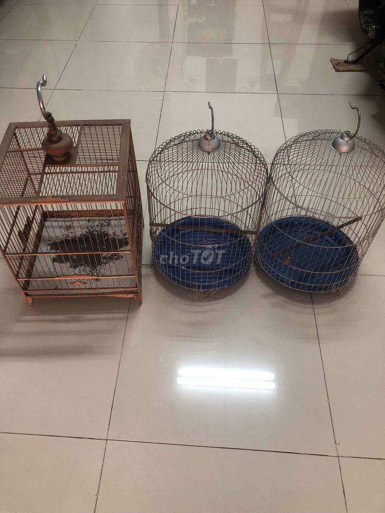 Lồng chim Gỗ, Kim loại Rất mới. Mua bán Phụ kiện, Thức ăn, Dịch vụ tại Thị xã Tân Uyên Bình Dương được đăng bởi hoang anh hình 1