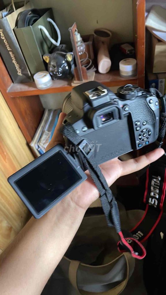 Máy ảnh Canon 800D EF-S 18-55mm Đen Đã sử dụng. Mua bán Máy ảnh, Máy quay tại Thành phố Thuận An Bình Dương được đăng bởi Bảo Minh hình 1