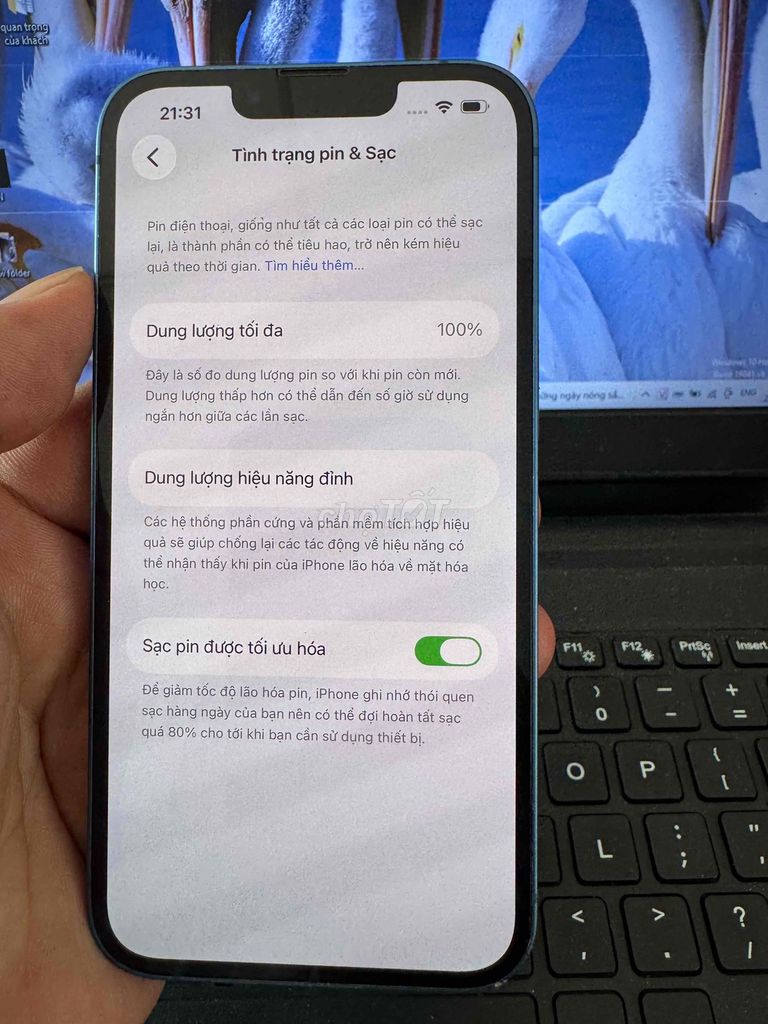 Apple iPhone 13 128GB Xanh 98.5%. Mua bán Điện thoại tại Quận 6 Tp Hồ Chí Minh được đăng bởi QUỐC THIÊN BÁN GÓP 0 ĐỒNG  hình 1