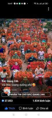 Mặt đường kinh doanh Thái Sơn 90m, đất, mặt tiền 15m,970 tỷ Bắc Giang.. Mua bán đất tại Huyện Hiệp Hòa Bắc Giang được đăng bởi lê anh