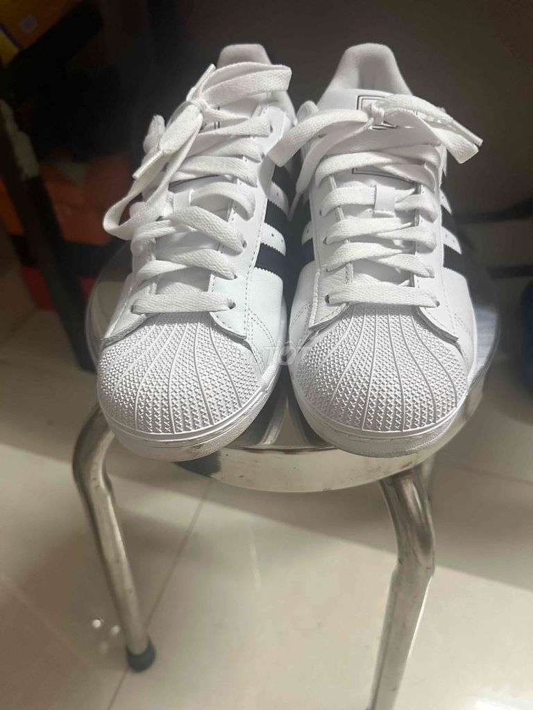 adidas gazelle silver green womens Giy Adidas Women Superstar Bonega #Cloud White  Kallos
