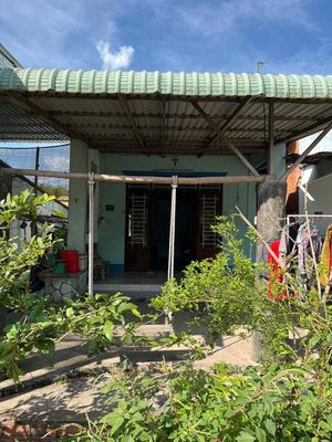 227m2 60 thổ thái mỹ cây trôm đi vào cần bán gấp. Mua bán đất tại Huyện Củ Chi Tp Hồ Chí Minh được đăng bởi Việt